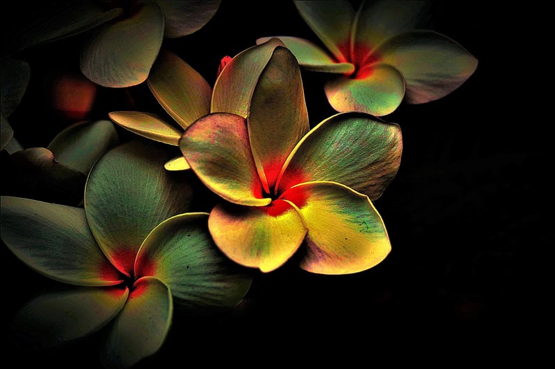 Abstract Art Inspiration