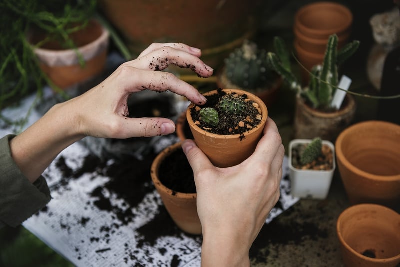 Upcycled Planters